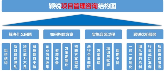 企业项目管理咨询