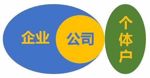 上海注册公司需要多少钱