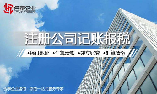 梅山保税区电子商务公司注册,优惠政策 阿尔山市企服