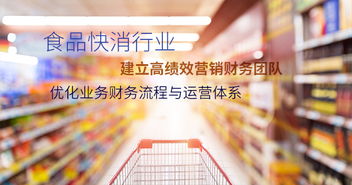 管理咨询服务 安越专业化定制 咨询服务 全流程财务咨询服务提升企业竞争力