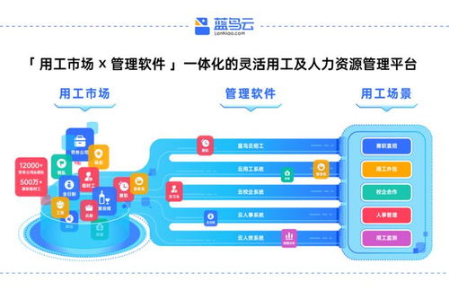 蓝鸟云 智能公休管理 上线,工时风险一键清零