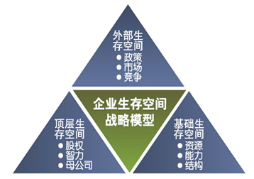 中天华溥管理咨询公司