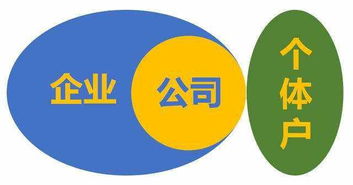 上海市各类公司企业注册