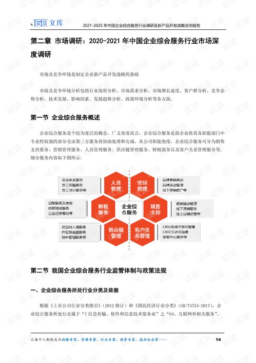 2021 2025年中国企业综合服务行业调研及新产品开发战略咨询报告.pdf