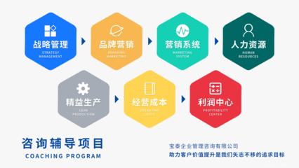 宝泰企业管理咨询 专业引领企业卓越发展